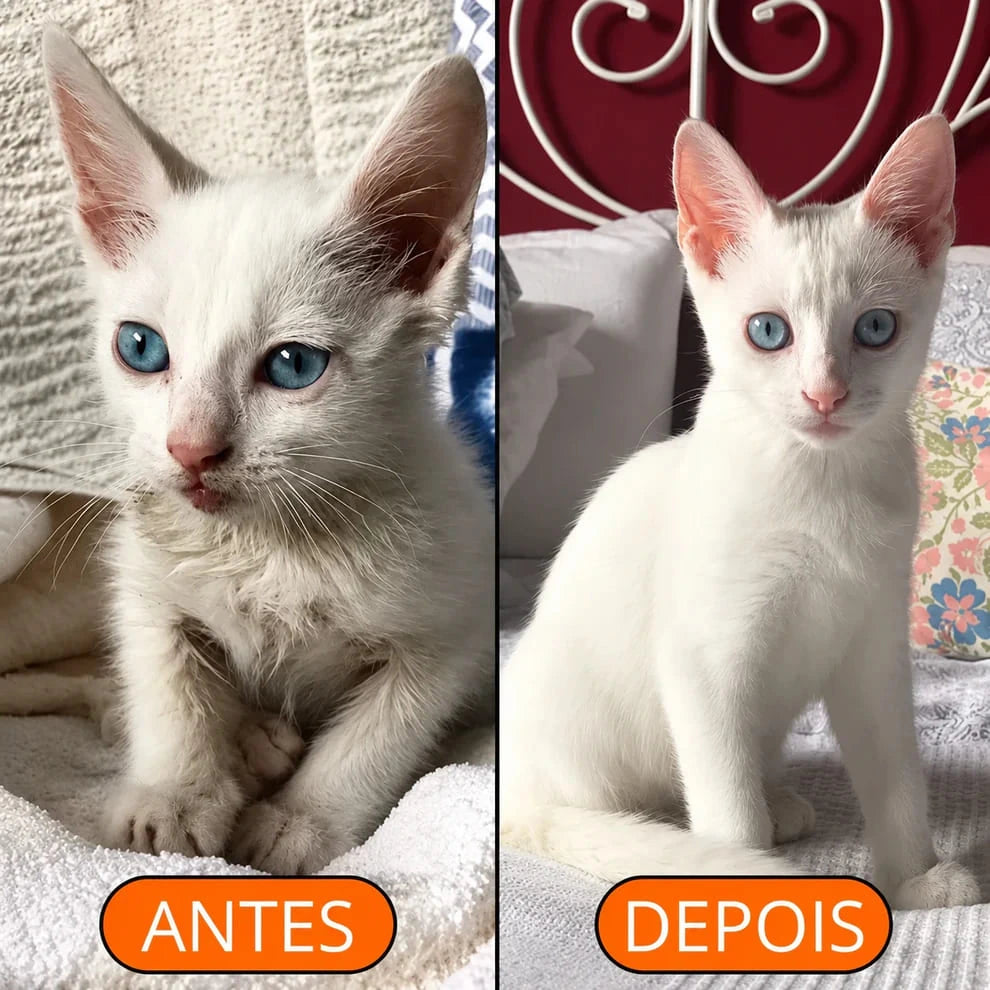 Cepillo Vapor Para Mascotas Pack 2 Piezas